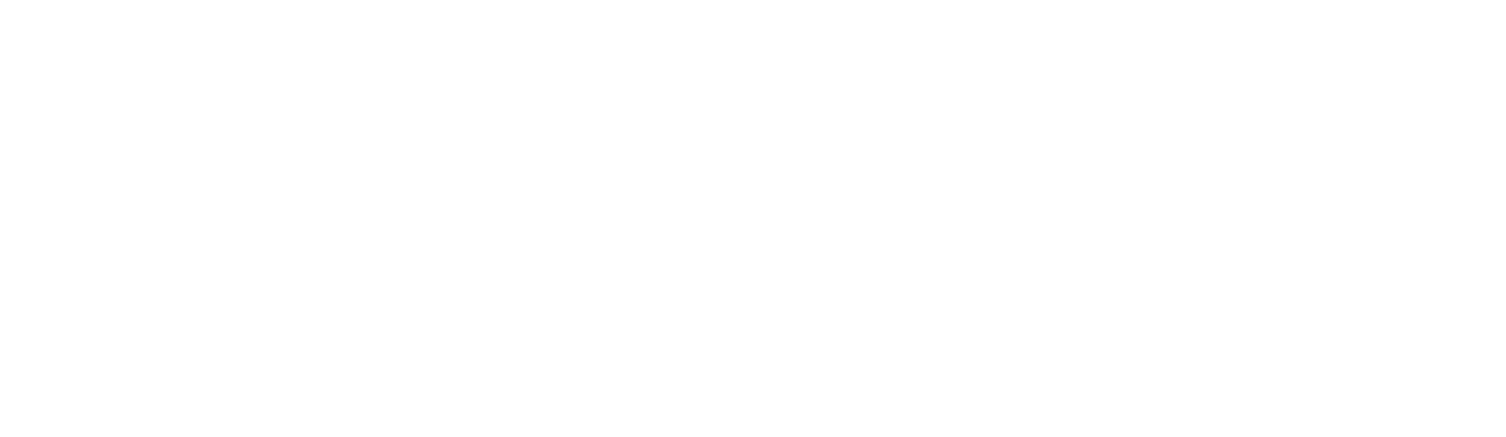 Octo - Desenvolvimento